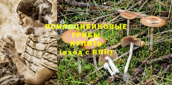 спайс Балабаново